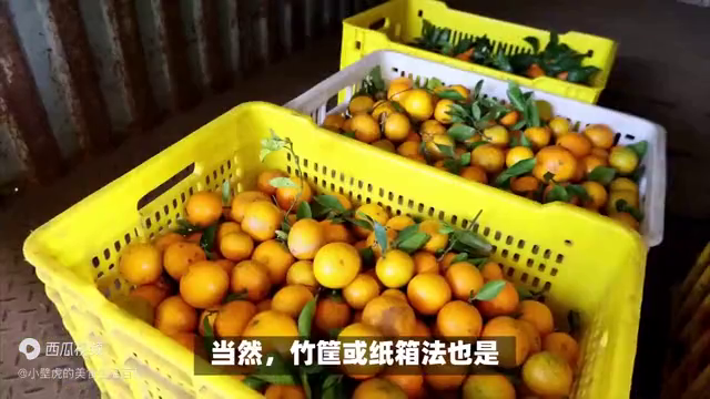 教你如何保鲜存放柑橘，多种简单实用方法一网打尽！