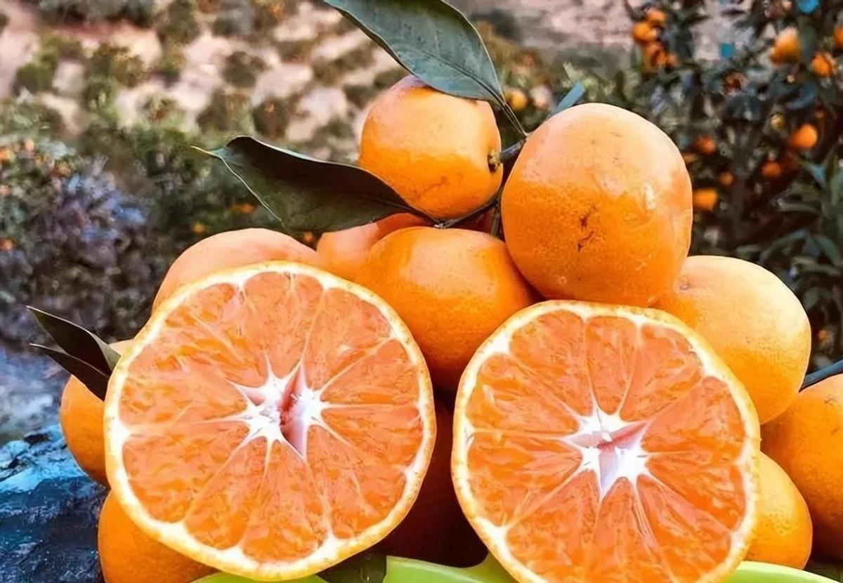 全国橙子评比揭晓，福建脐橙夺冠！家常美味大公开！