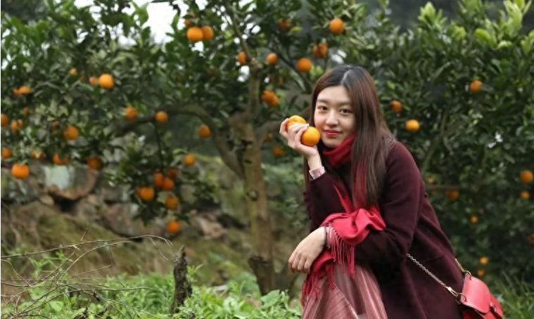 图片[1]-中国十大橘子产地推荐，看看有你家乡的吗？-安远脐橙