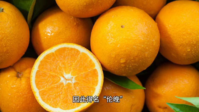 福建伦晚脐橙种植技术及营养分析，市场前景展望