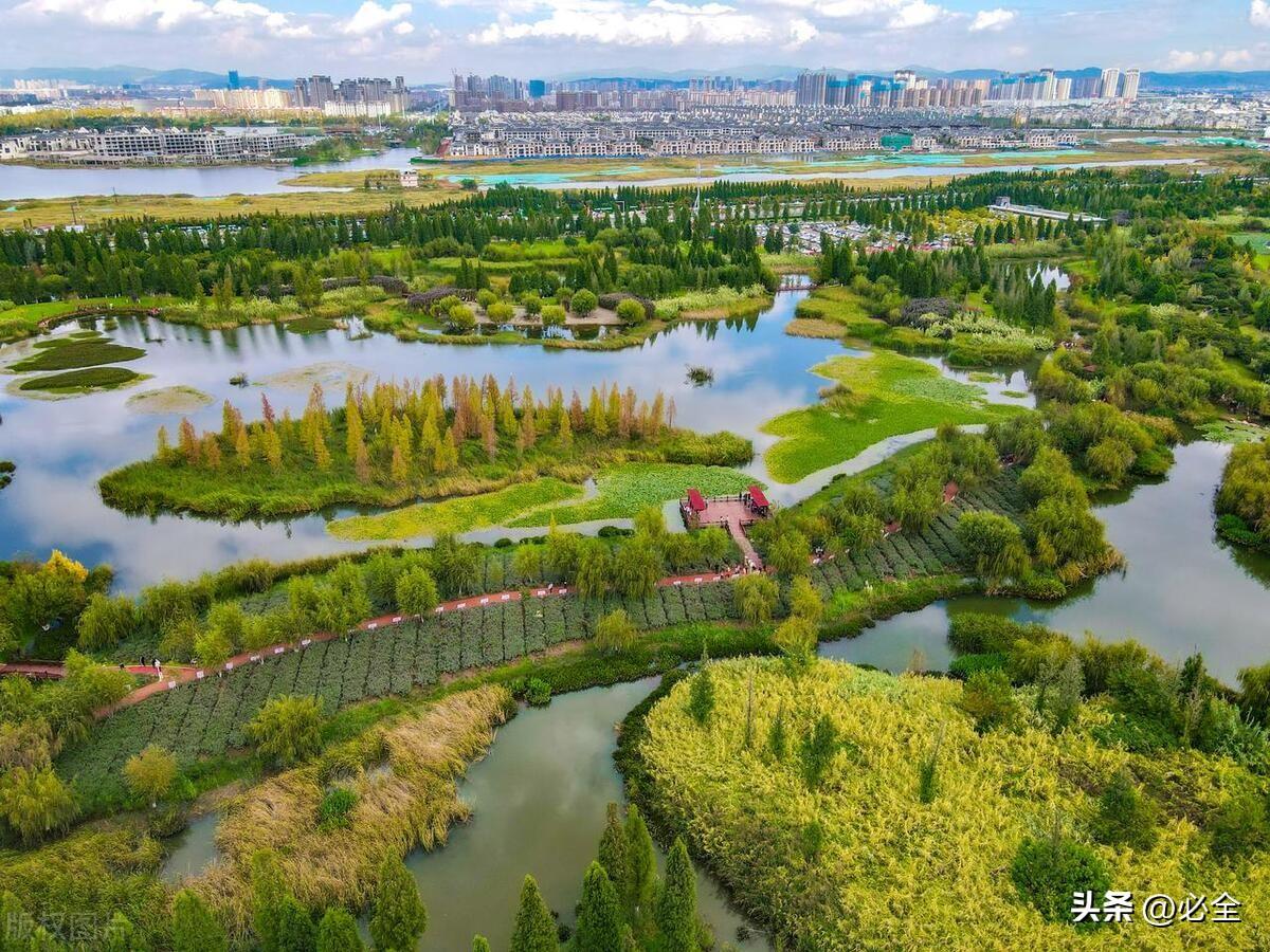 中国国际湿地公约指定的30处湿地及常用湿地植物种类和种植要求
