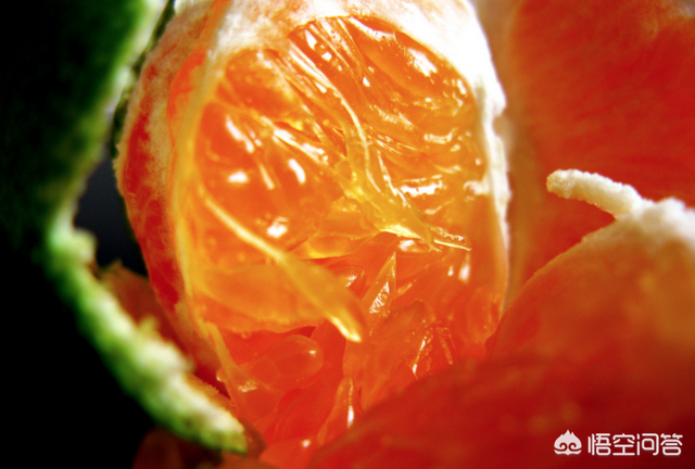 中国特色柑橘大雅柑和南宁沃柑的品种特点对比